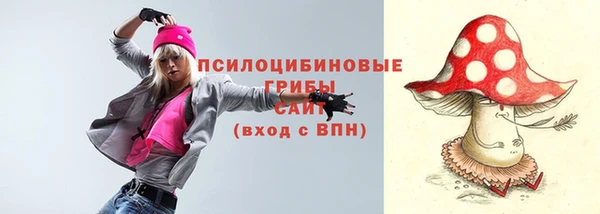 хмурый Волосово