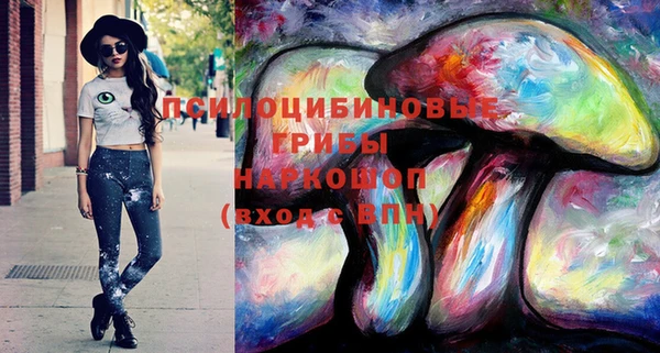 хмурый Волосово