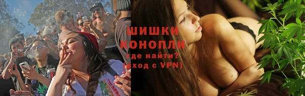 сатива Семилуки