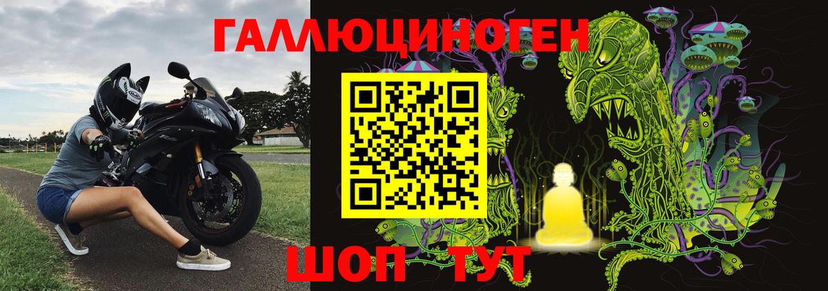 купить наркотики цена  Псилоцибиновые грибы мицелий  Вход с VPN  Псилоцибиновые грибы Cubensis  Снежинск 